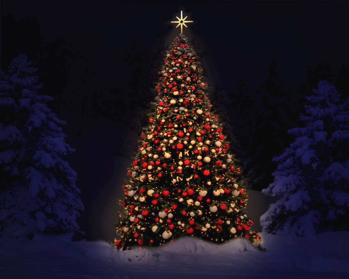С Новым годом!!!